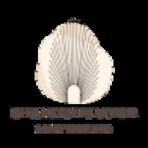 Meet your Posher, Shaheen